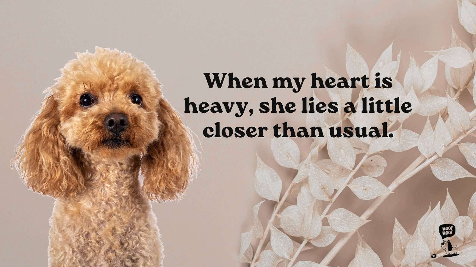 Dog Feeling Quotes