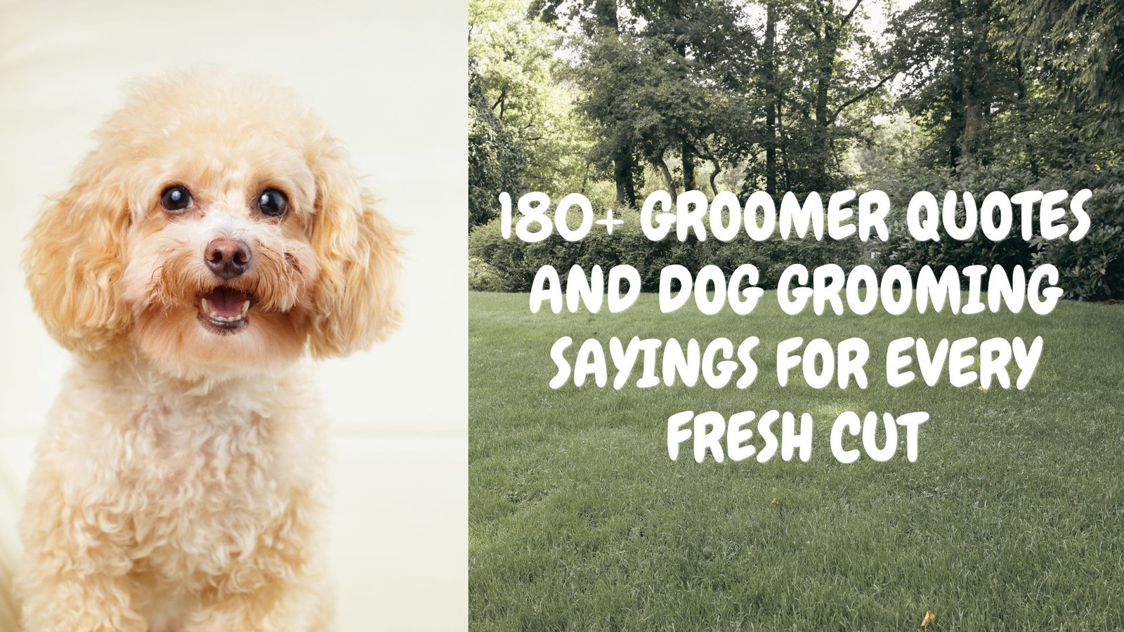 Dog Groomer quotes- Woof woof