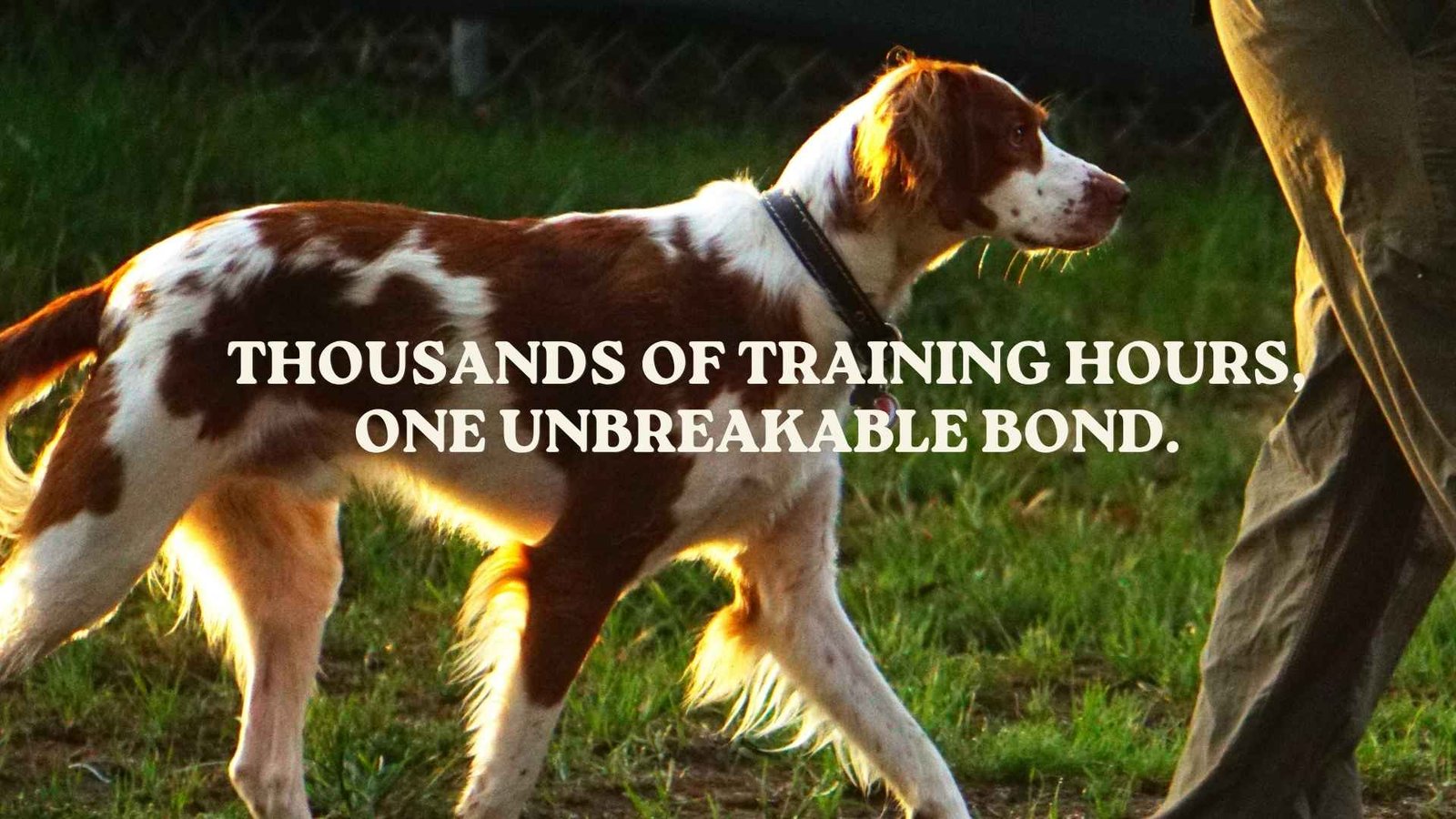 Dog Handler Quotes