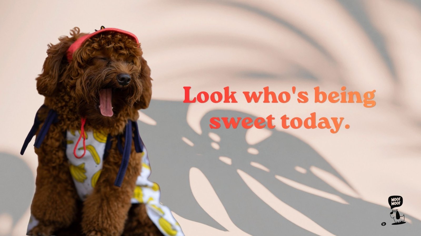 Dog Love Captions for Instagram Stories