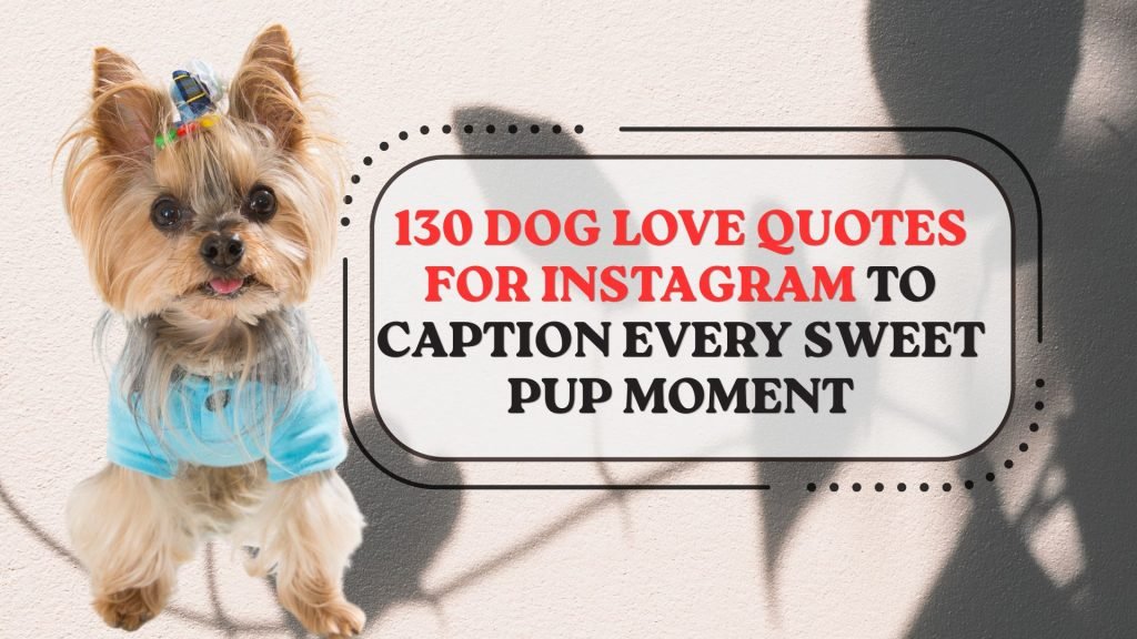 Dog Love Quotes for Instagram