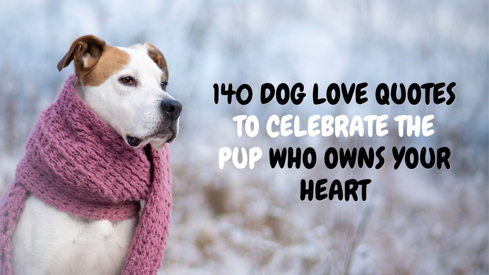 Dog Lover quotes - Woof woof