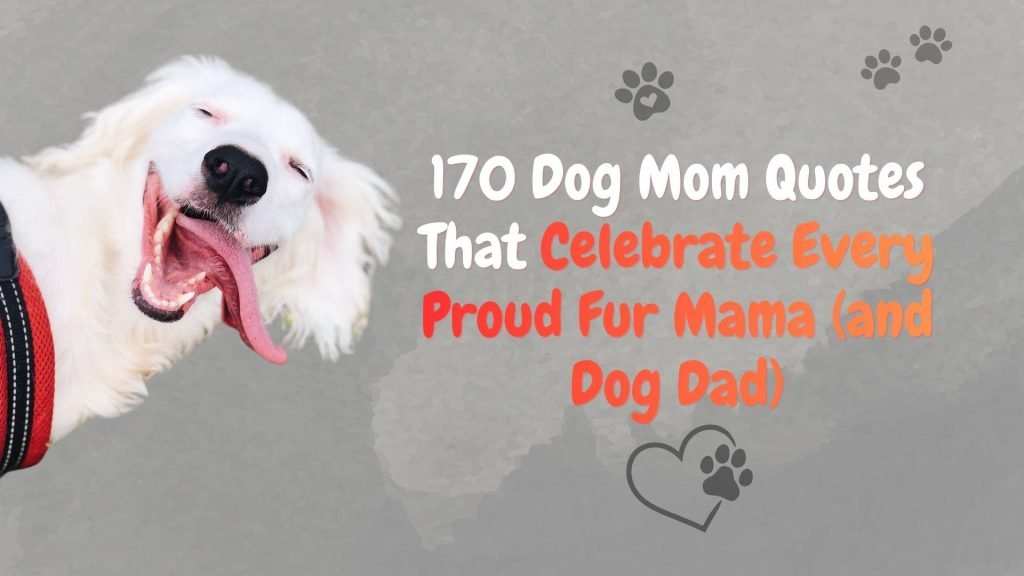 Dog Mom Quotes