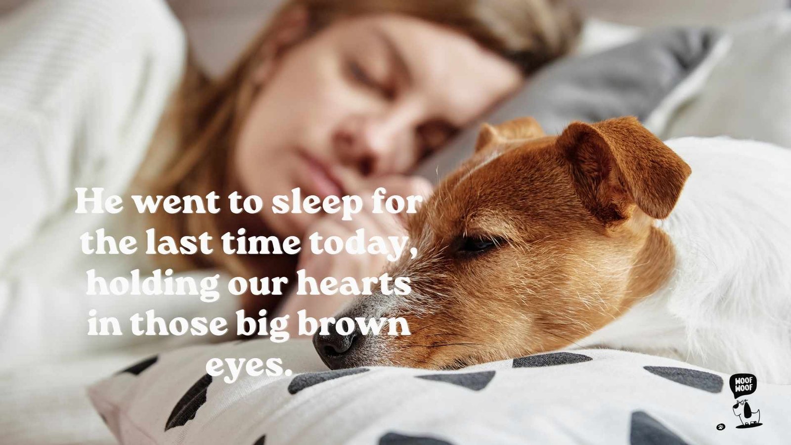 Dog Memorial Messages to Share With Family and Friends