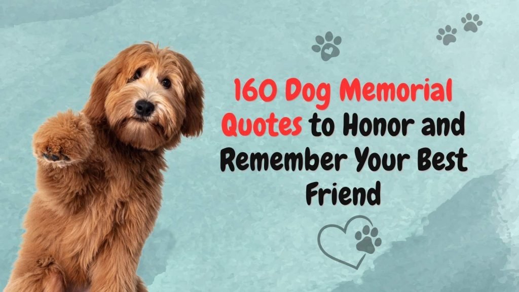 Dog Memorial Quotes