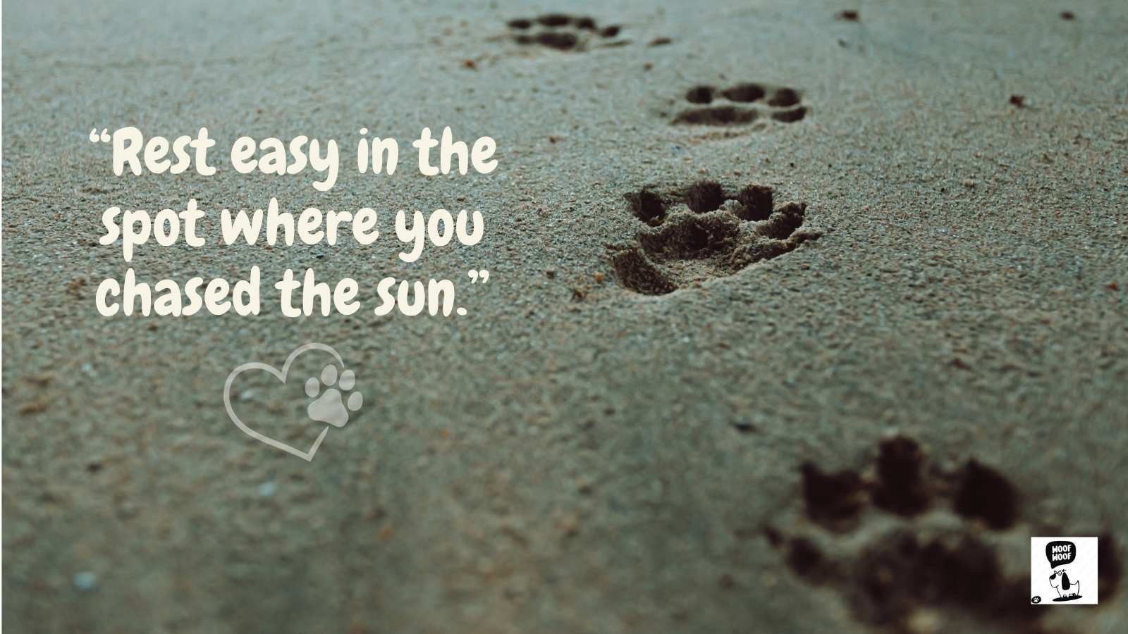 Dog Memorial Sayings