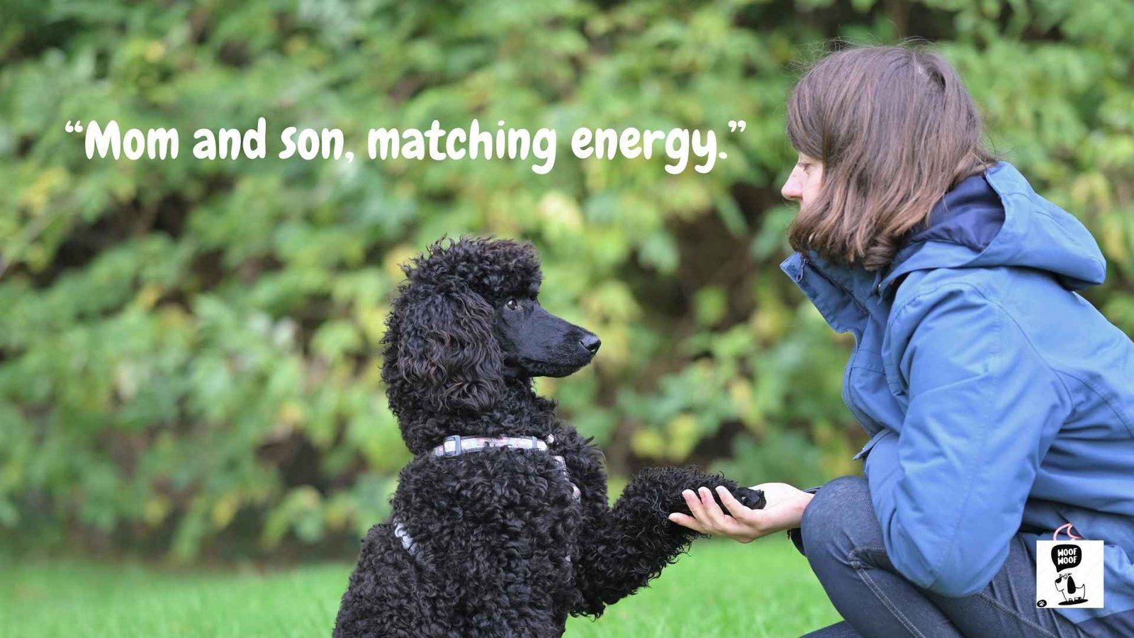 Dog Mom Captions for Instagram