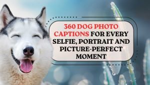 Dog Photo Captions for Every Selfie, Portrait and Picture-Perfect Moment