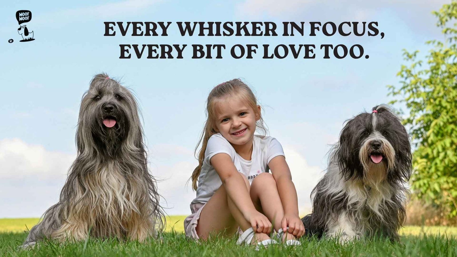 Dog Portrait Captions