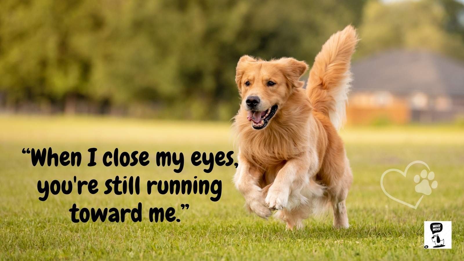 Dog Remembrance Quotes