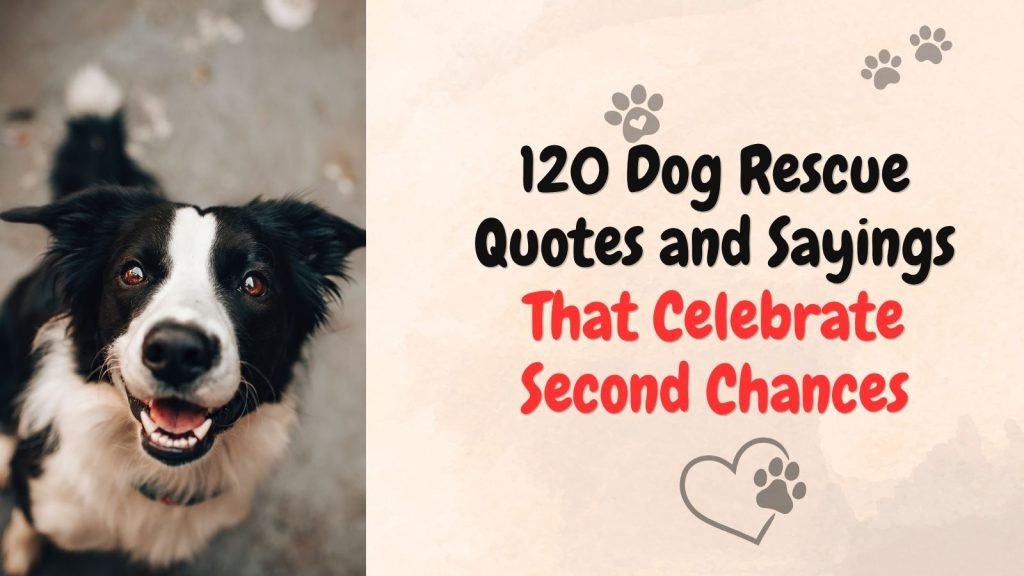 Dog Rescue Quotes and Sayings