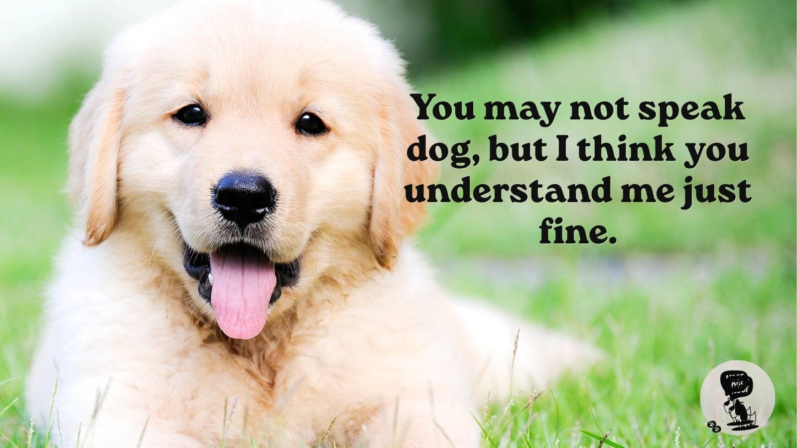 Dog Saying I Love You to Its Owner