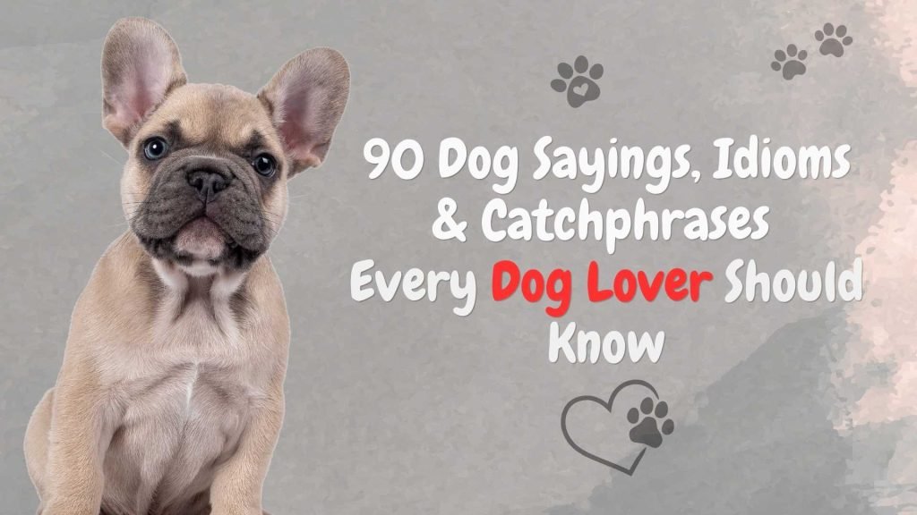 Dog Sayings