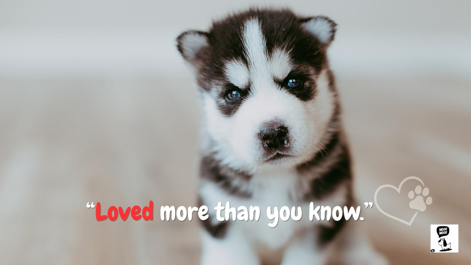 Dog Tag Quotes