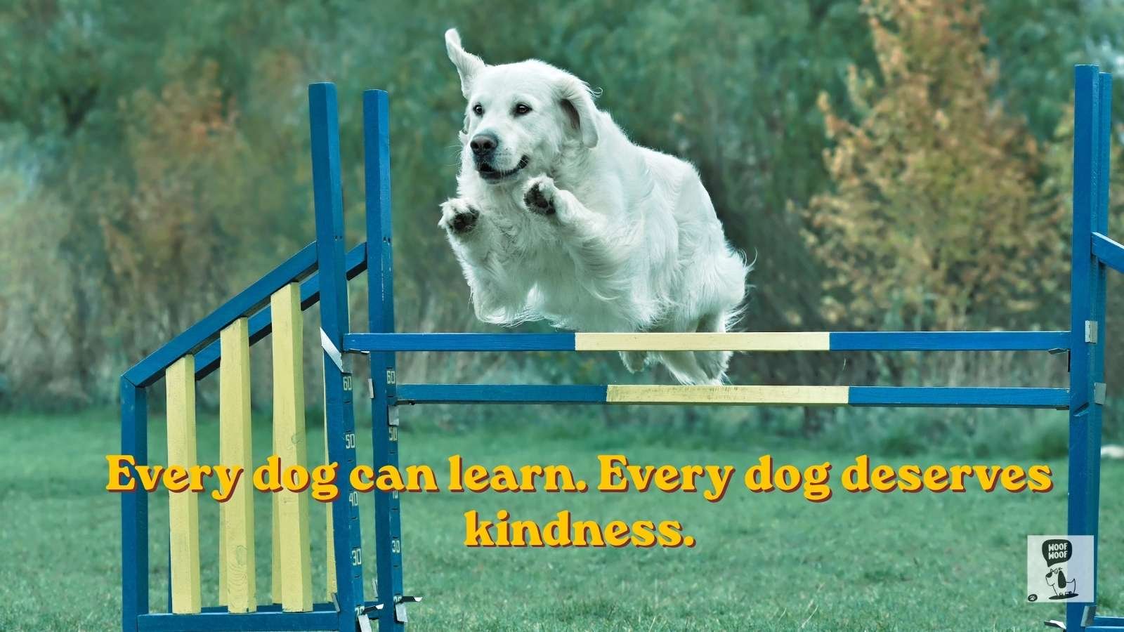 Dog Training Slogans