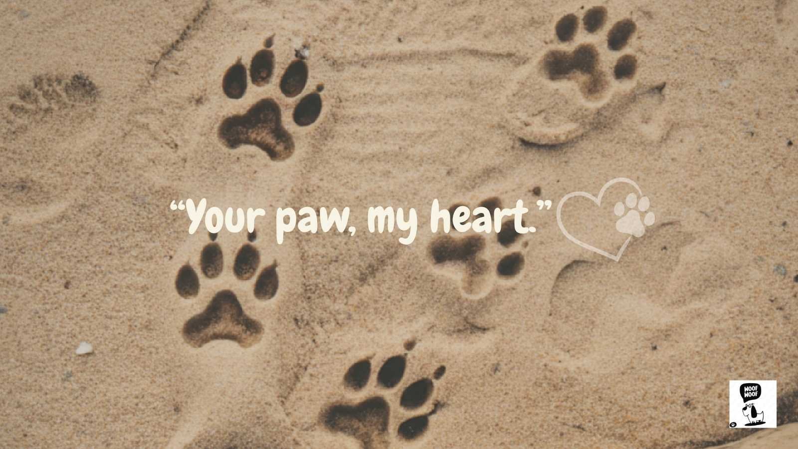 Dog Urn, Jewelry and Keepsake Sayings