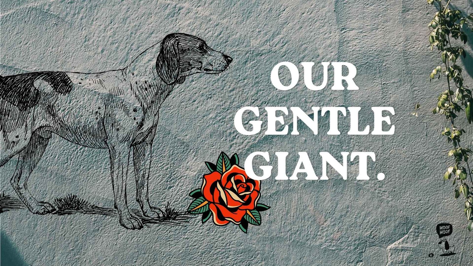Dog Urn Quotes Character