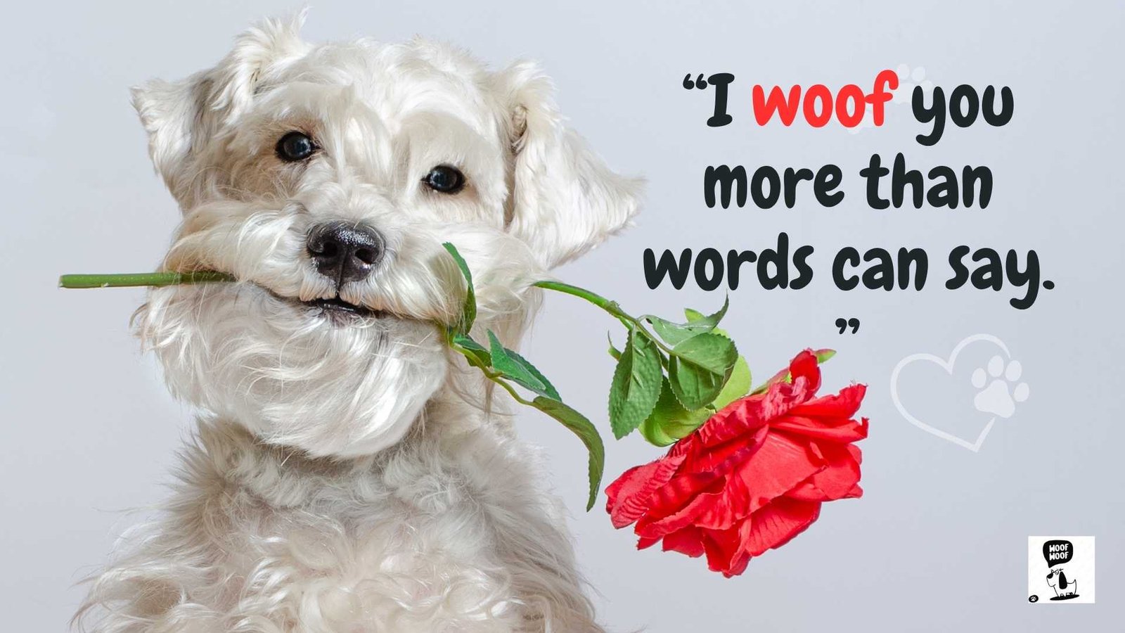 Dog Valentine Quotes and Sayings