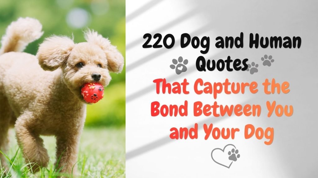 Dog and Human Quotes