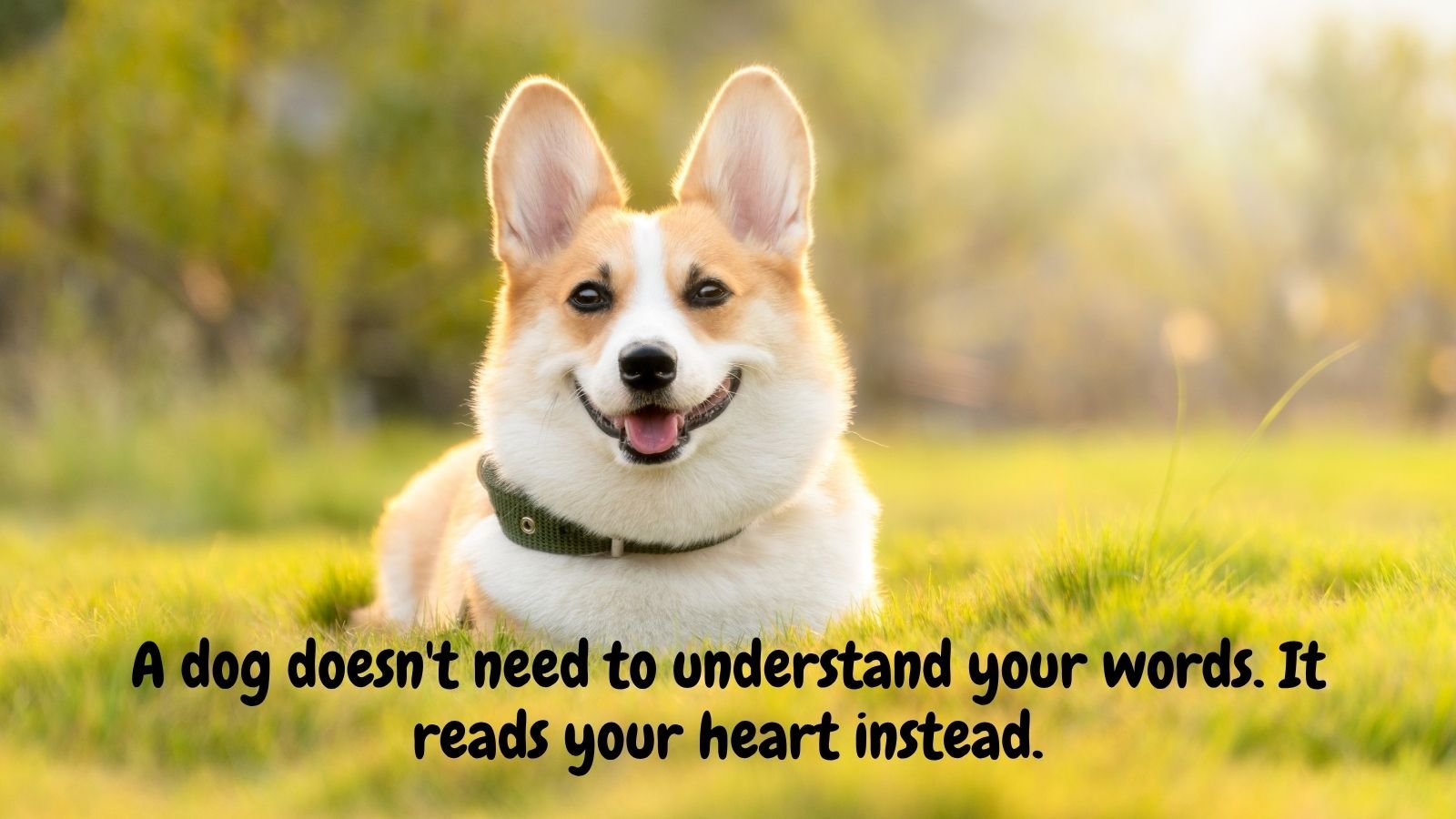 bestDog and Human Quotes