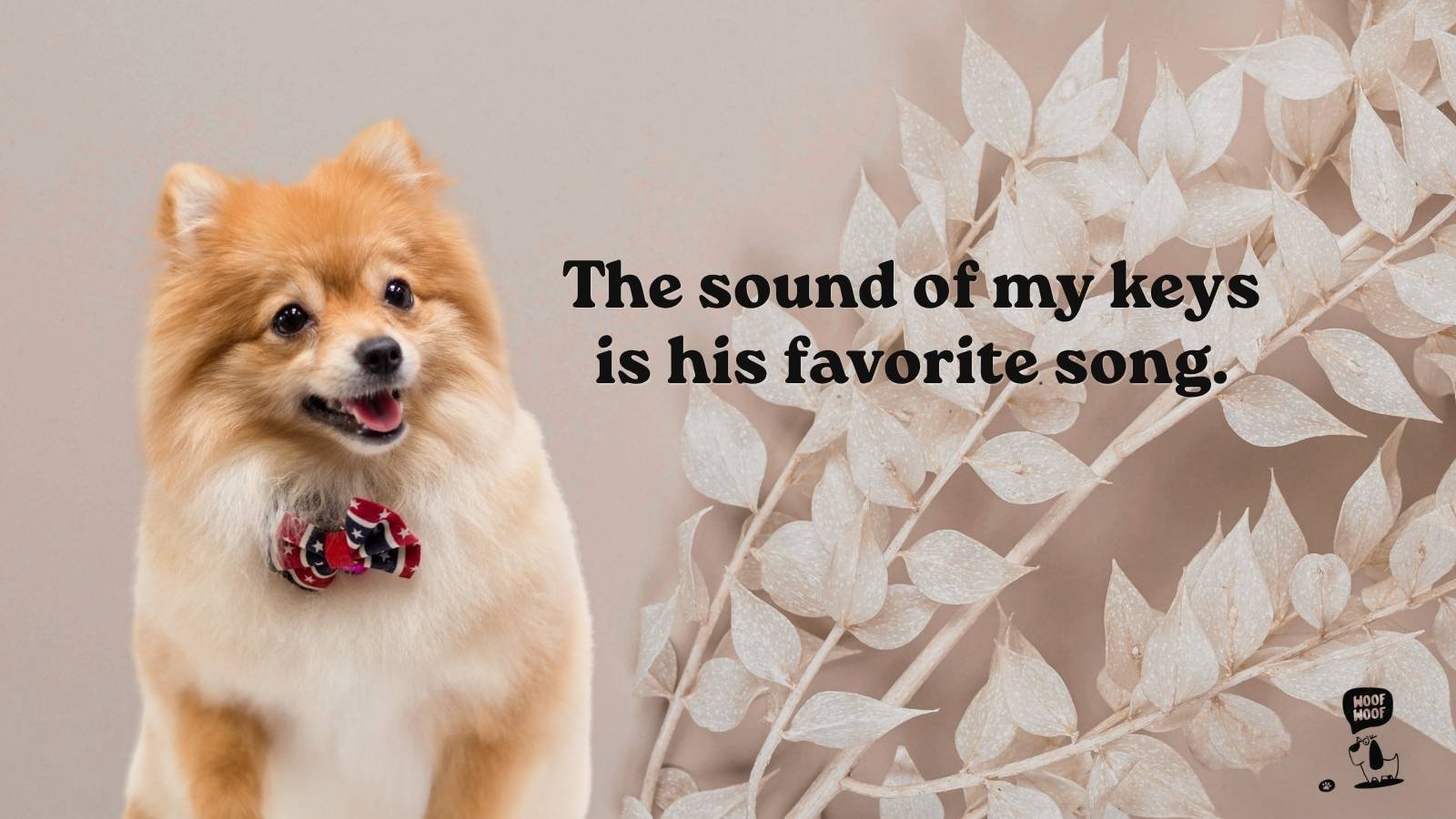 Emotional Dog Quotes About Coming Home