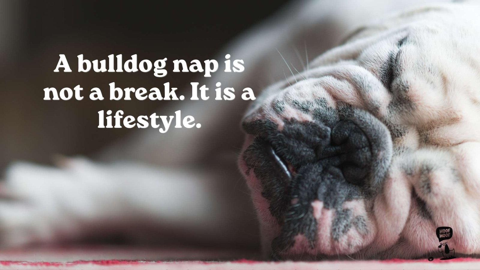 English Bulldog Funny Quotes About Snoring and Naps