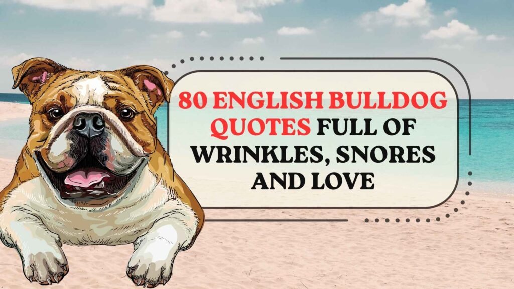 English Bulldog Quotes