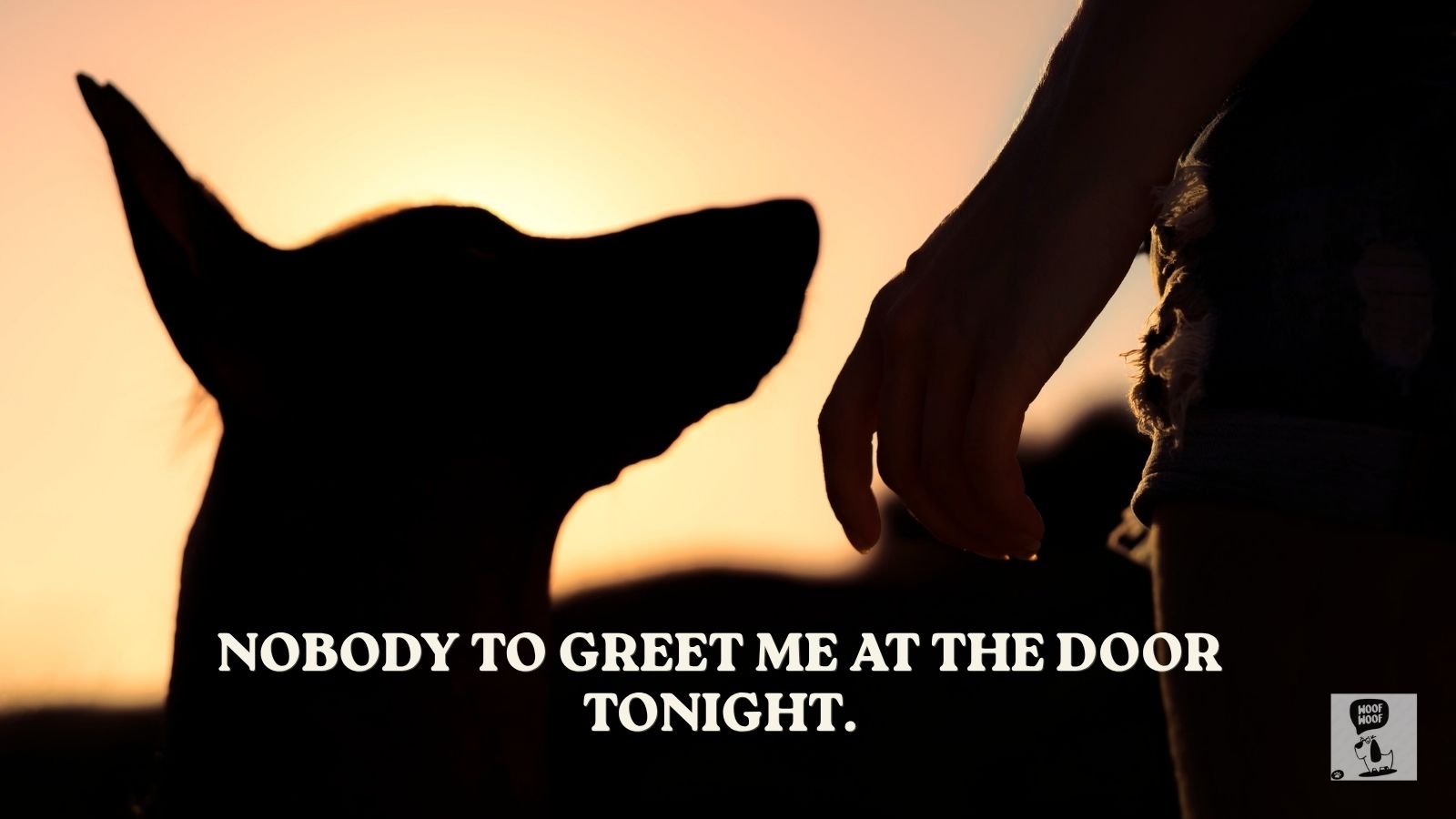 Facebook Dog Death Status Posts