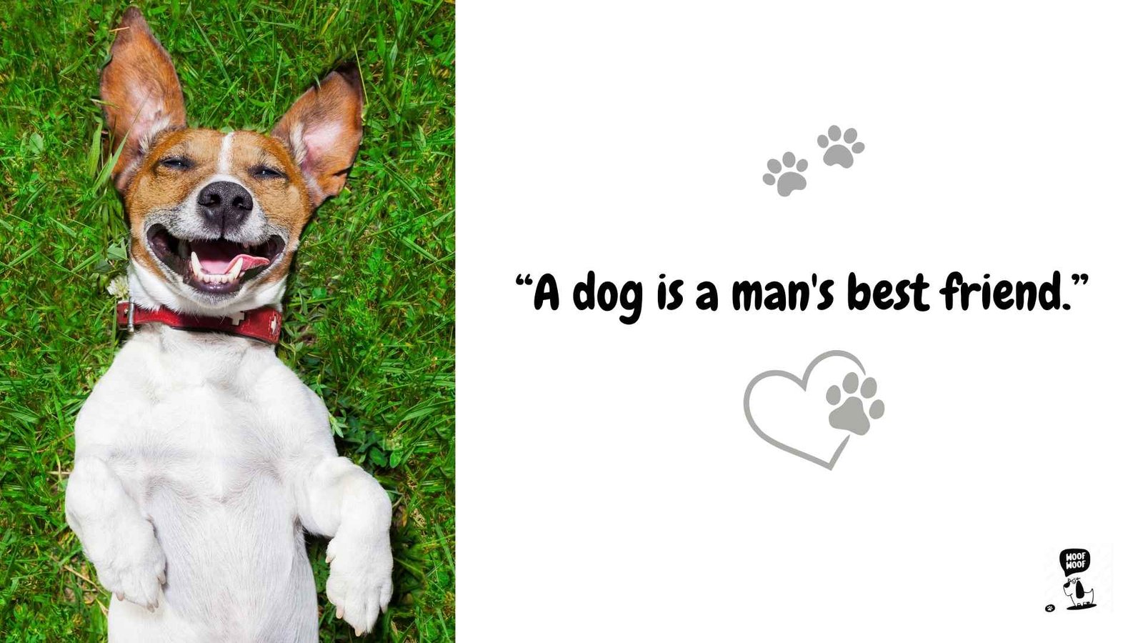 Famous Dog Sayings