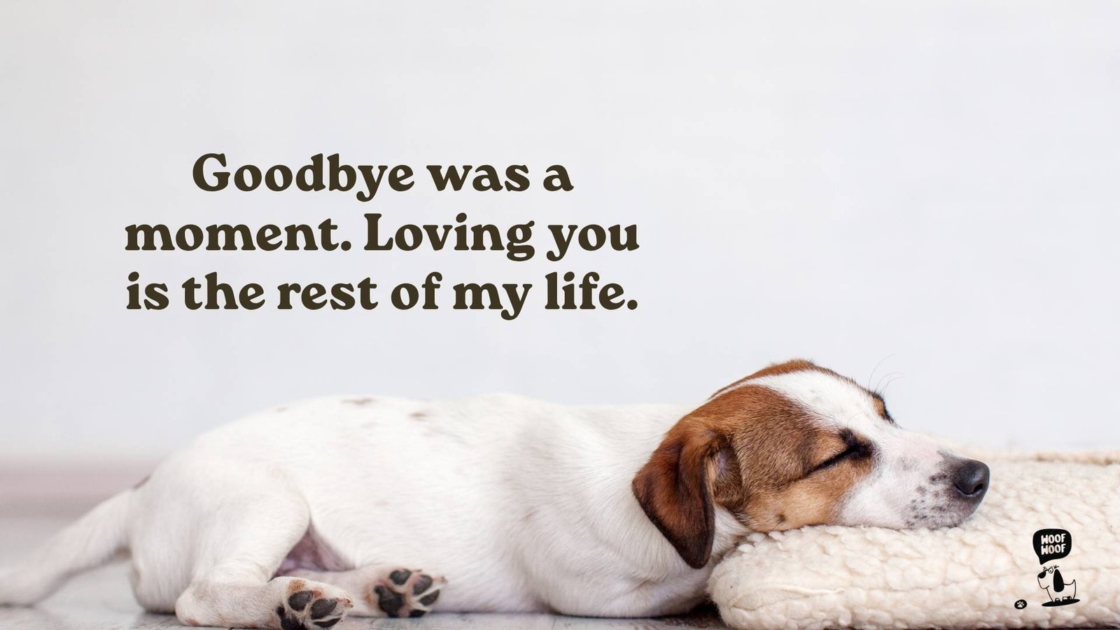 Farewell Messages to a Dog for Moving Forward