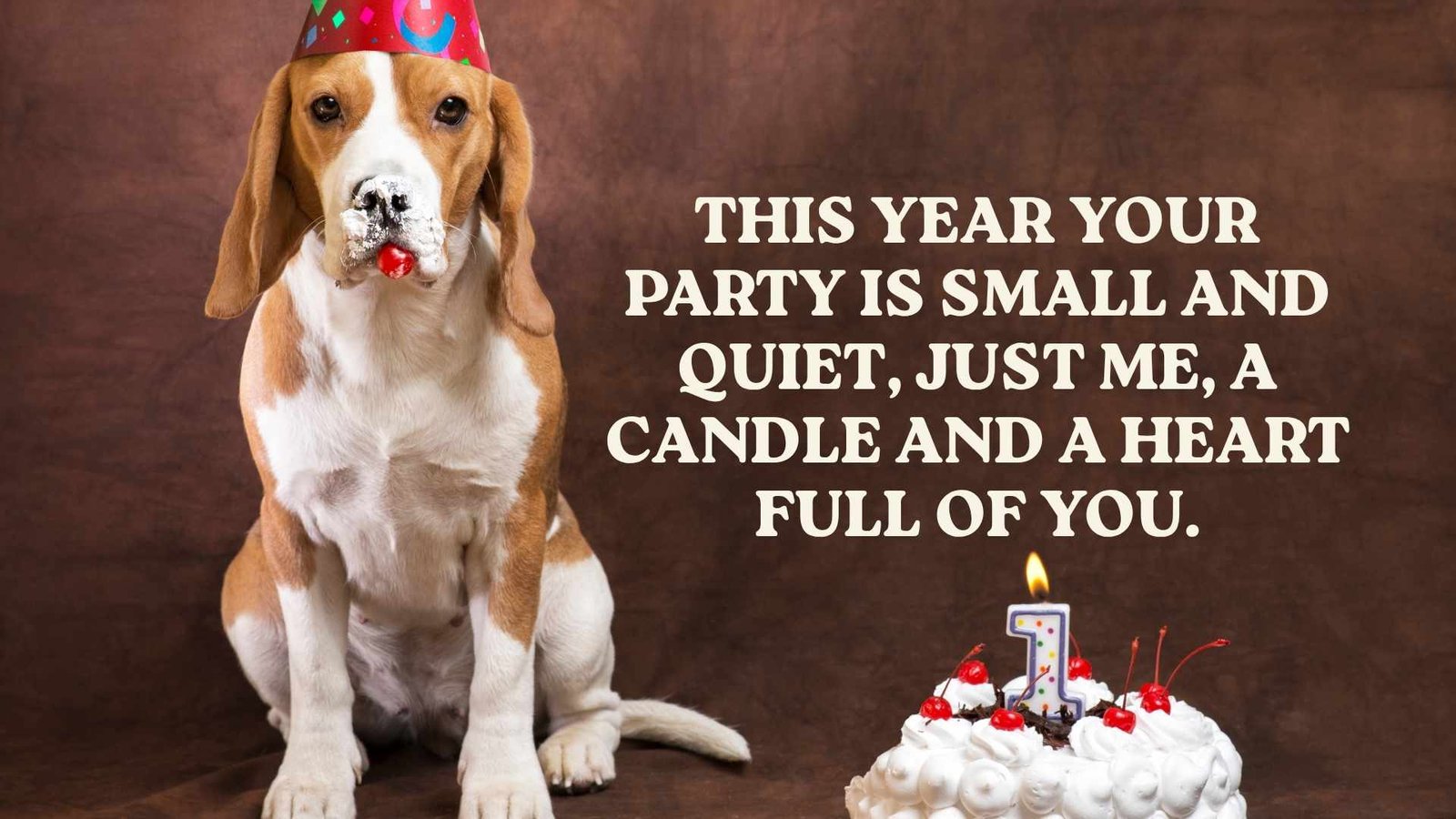 First Birthday in Heaven Quotes for Your Dog