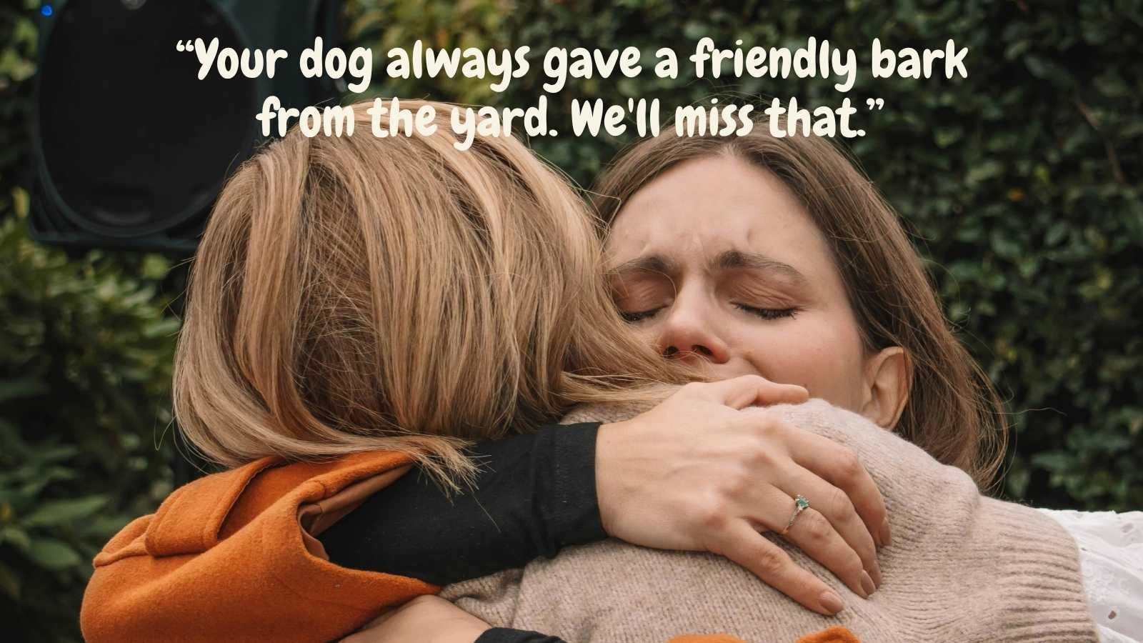 For a Neighbor or Someone Whose Dog You Didn't Know Well