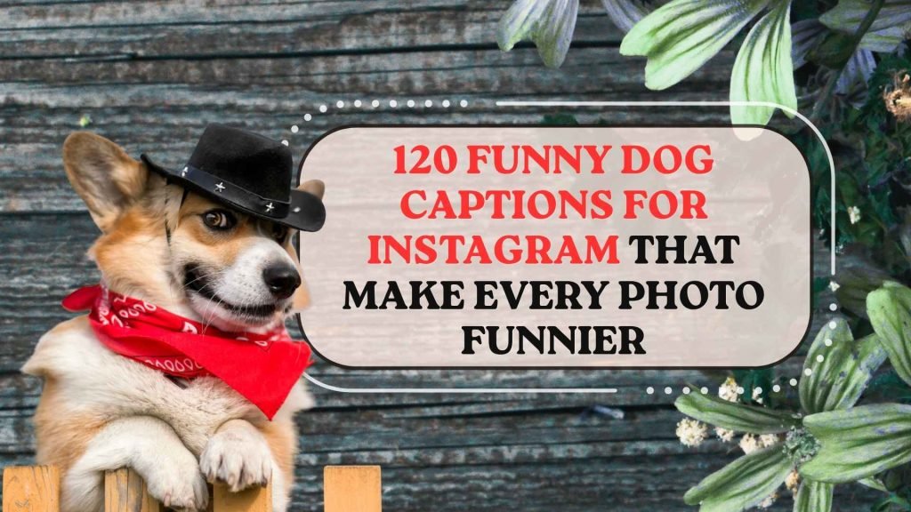 Funny Dog Captions for Instagram