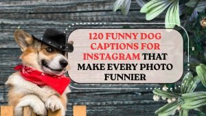 Funny Dog Captions for Instagram