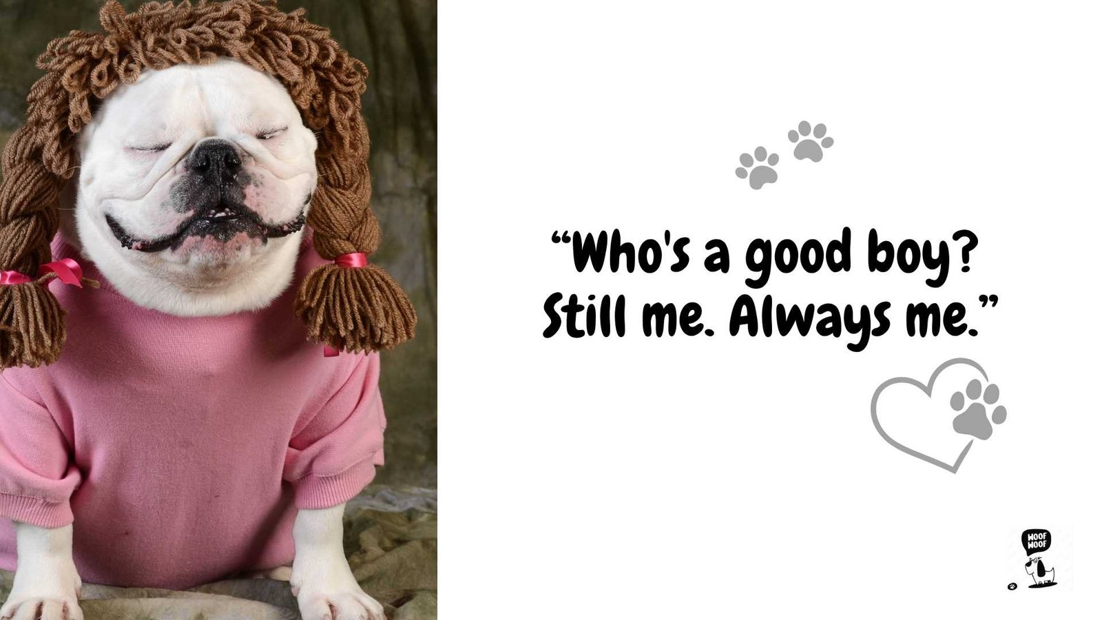 Funny Dog Sayings