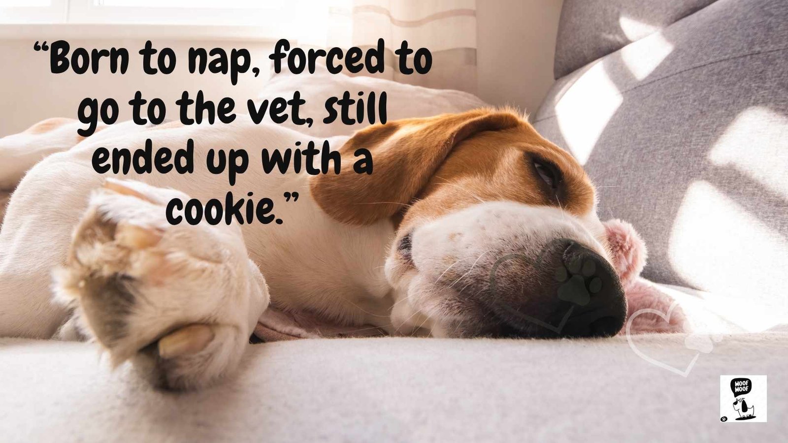 Funny Dog Slogans