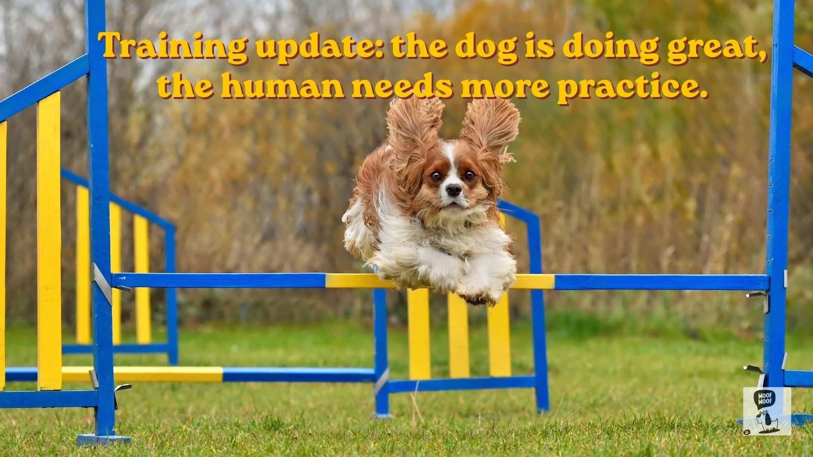 Funny Dog Training Quotes
