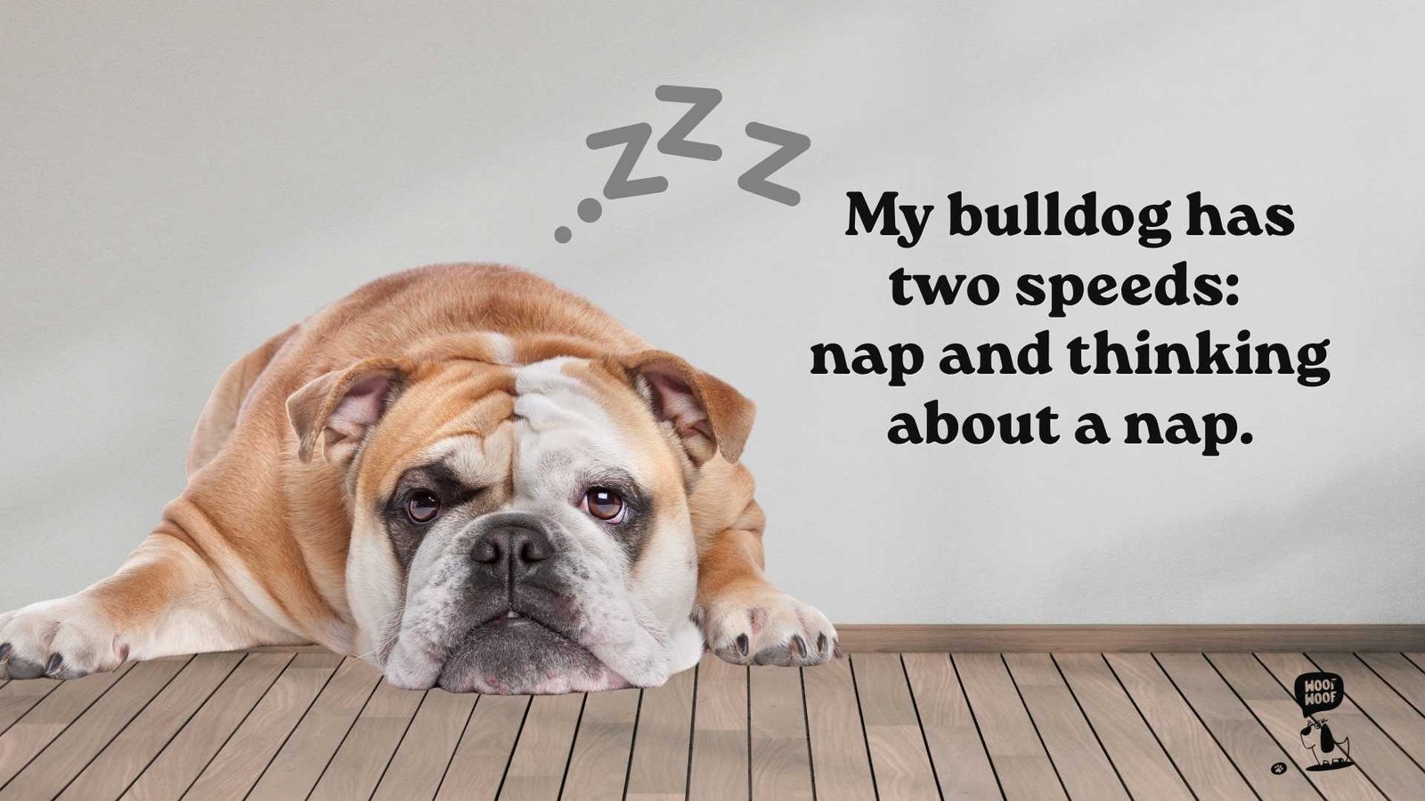 Funny English Bulldog Quotes