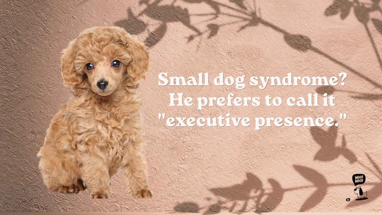 Funny Small Dog Quotes (Small Dog Syndrome Edition)