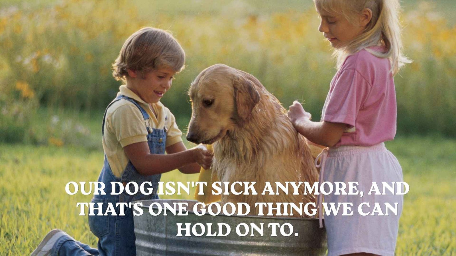 Gentle Words to Explain to Kids