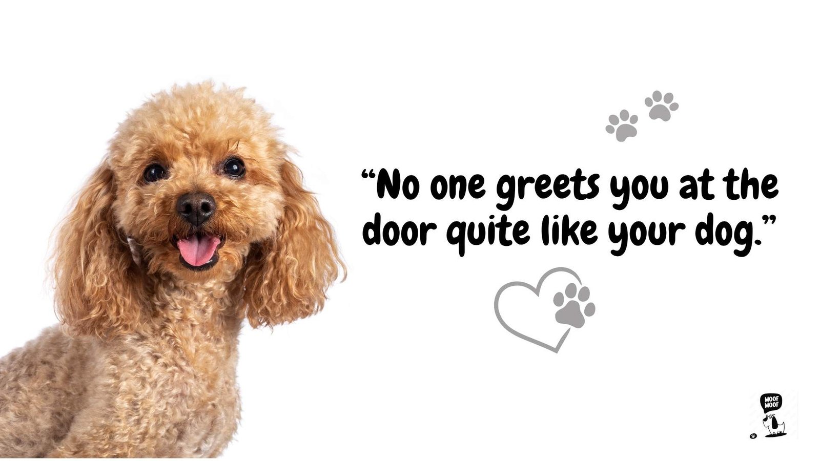 Good Dog Sayings for Dog Lovers