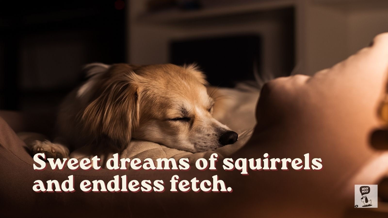 Good Night Dog Quotes