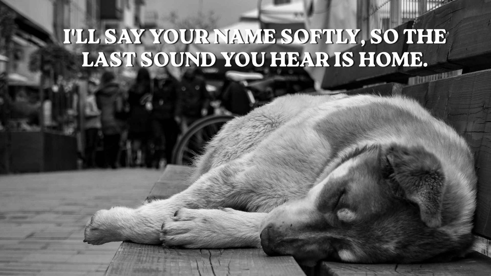 Goodbye My Dog Quotes for the Final Moment