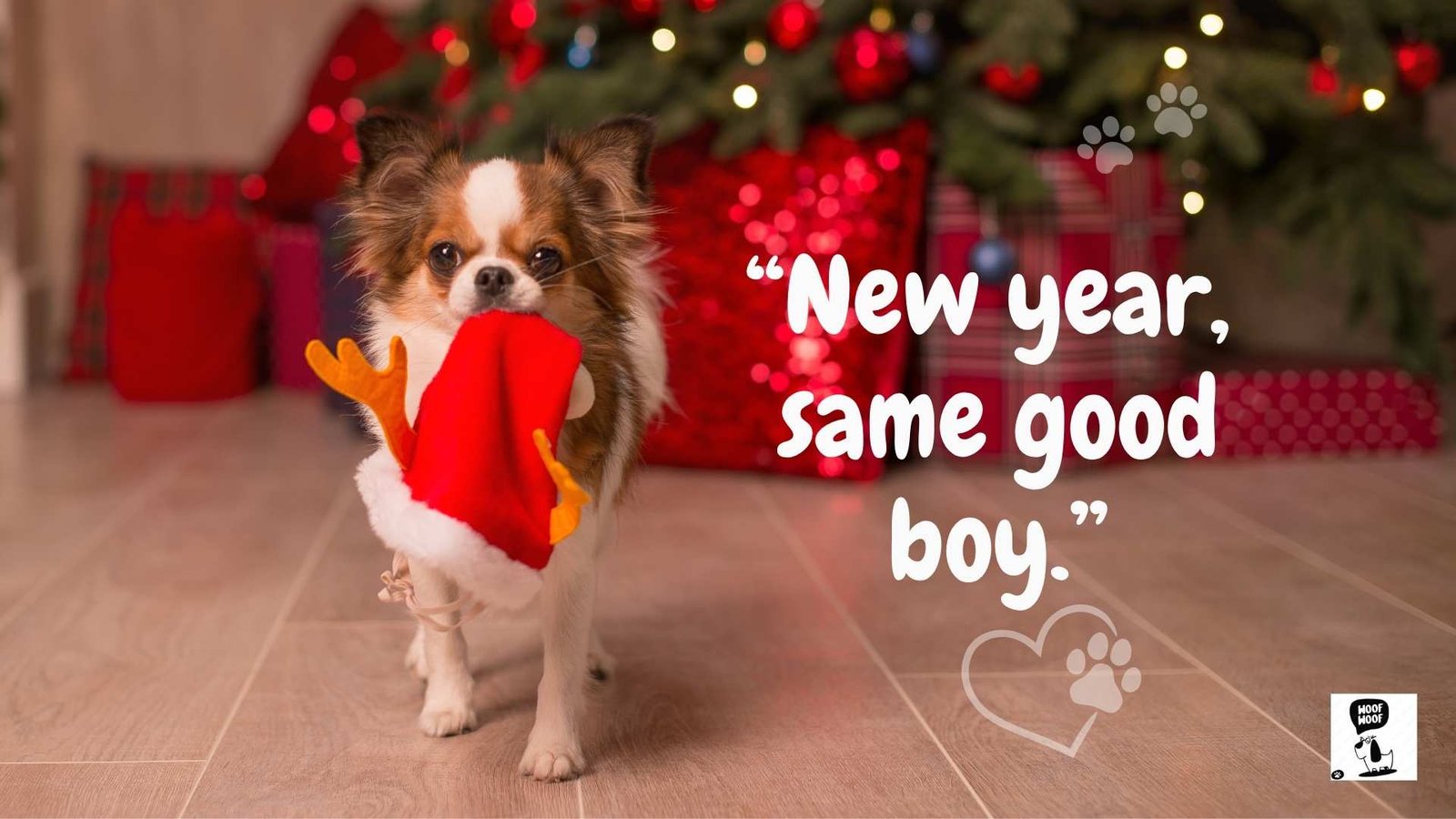 Happy New Year Dog Quotes