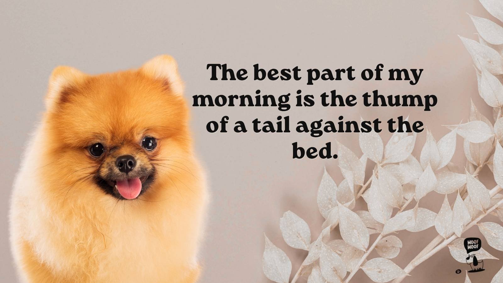 Heartwarming Dog Quotes for Everyday Moments