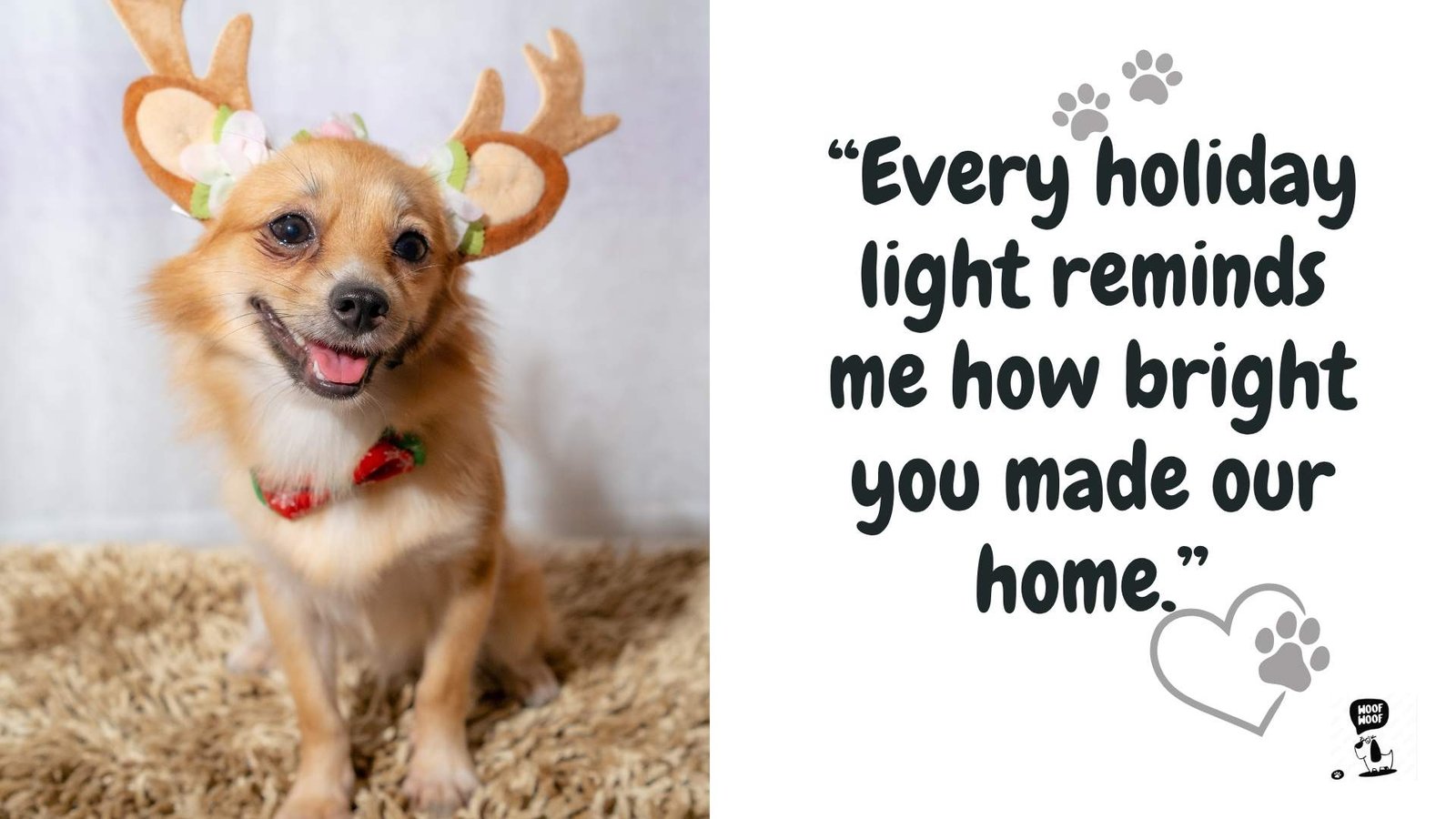 Holiday Quotes for Missing a Dog