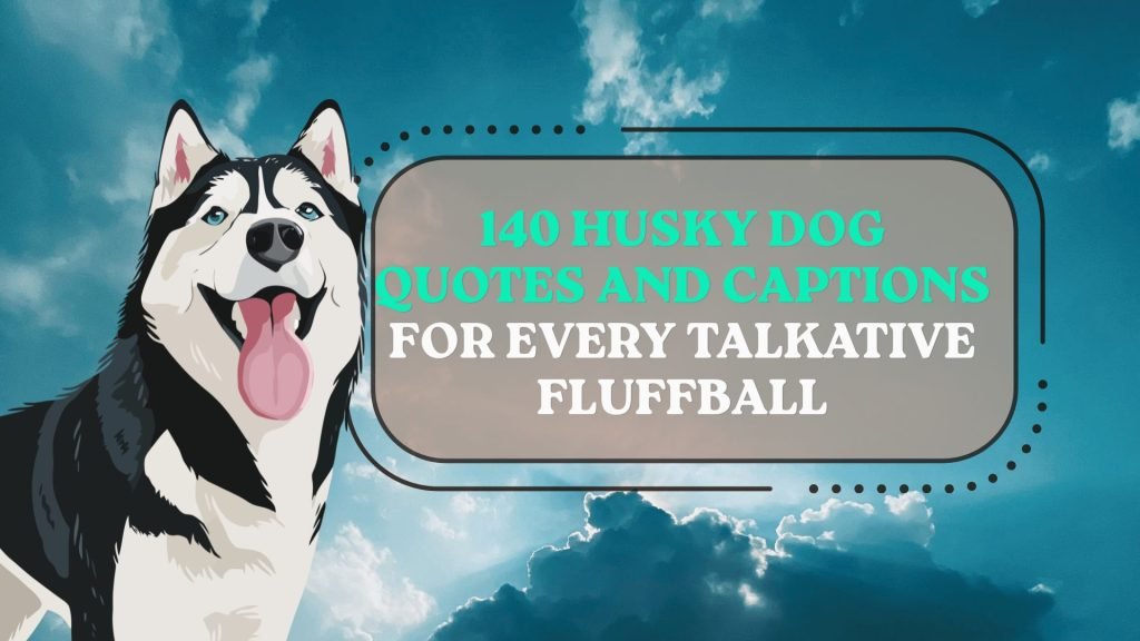 Husky Dog Quotes and Captions