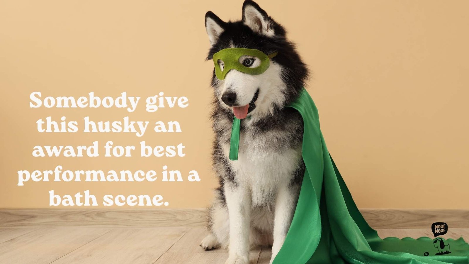 Husky Drama Quotes