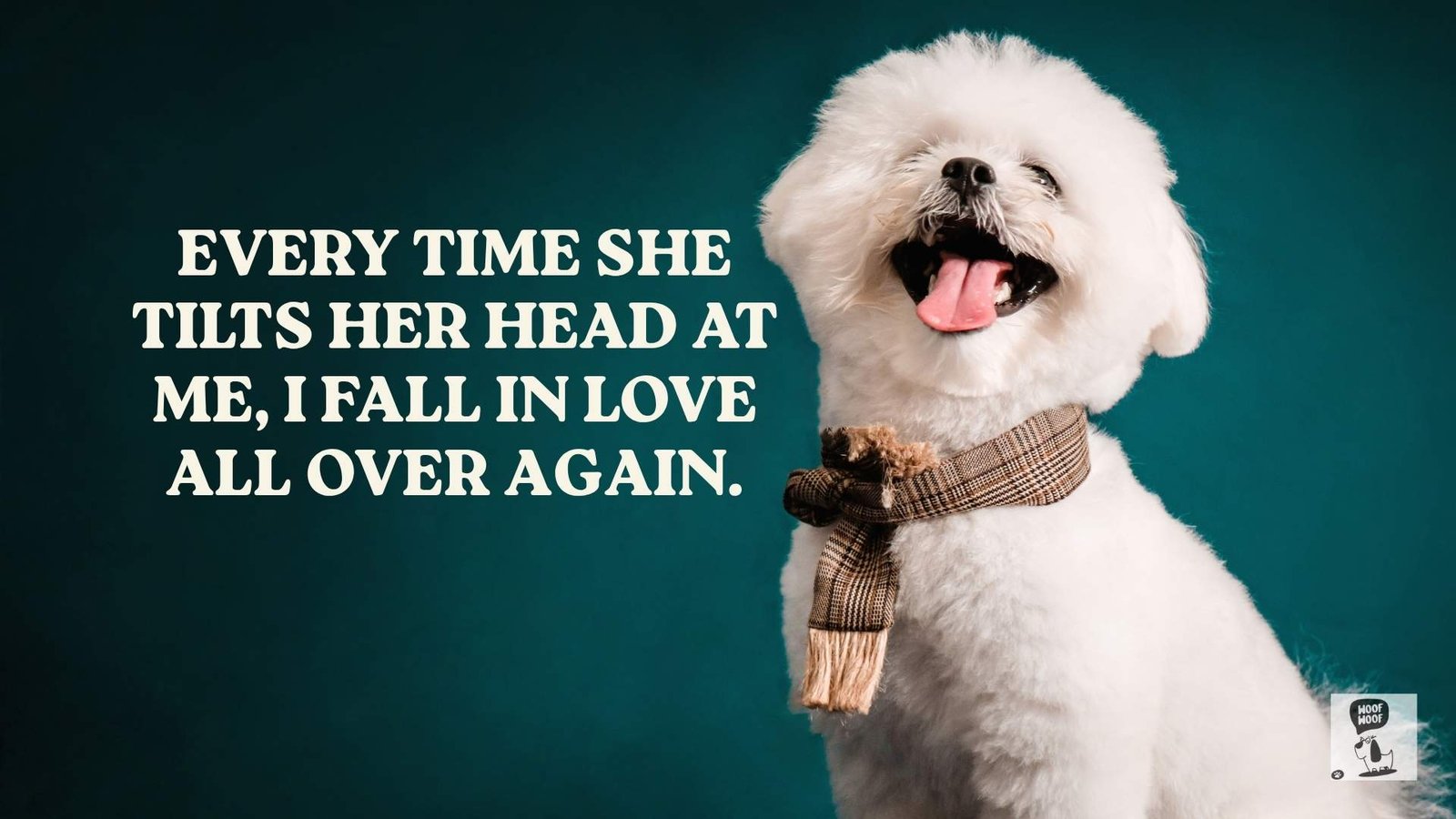 I Love My Dog So Much Quotes