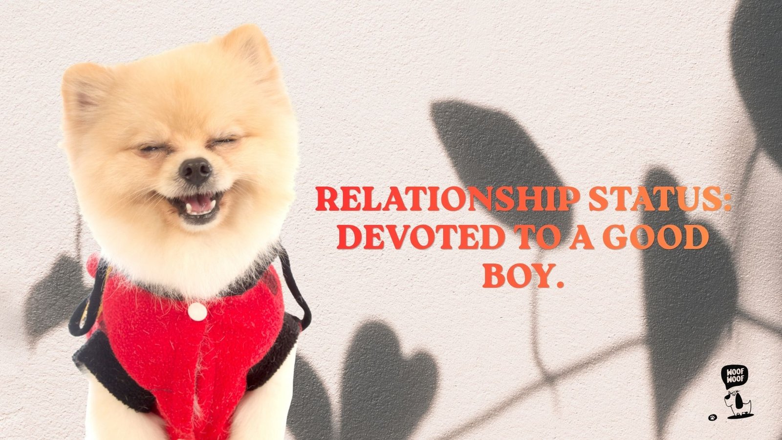 I Love My Dog Status Lines